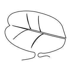 one line continuous drawing love shaped leaf