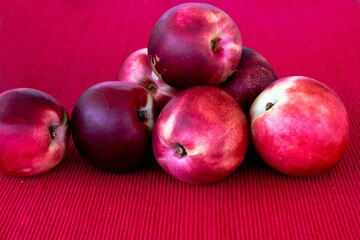 Nectarines, a smooth-skinned peach (Prunus persica var. nucipersica). Peaches of a variety with smooth, thin, brightly colored skin and rich firm flesh
