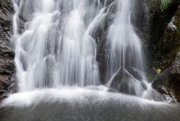 Plakat beautiful waterfall in the park of taipei