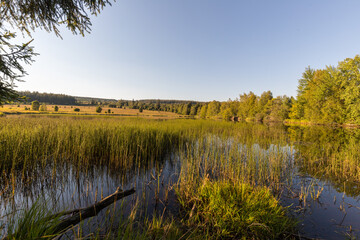 Schwarzbachsee im Hohen Venn an einem Sommerabend.