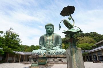 Lotus flower and Daibutsu (Great Buddha), located on the Kotoku-in temple grounds. Japan