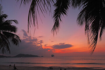 Fototapeta na wymiar black silhouettes of palm trees sunset view of the coast 
