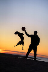  silhouette of guy and dog at sunset. American Pit Bull Terrier jumping for a toy. Backlight