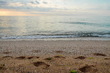 Beach of Black Sea from Golden Sands, Bulgaria with golden sands, blue clear water, fluffy clouds sky, sunrise