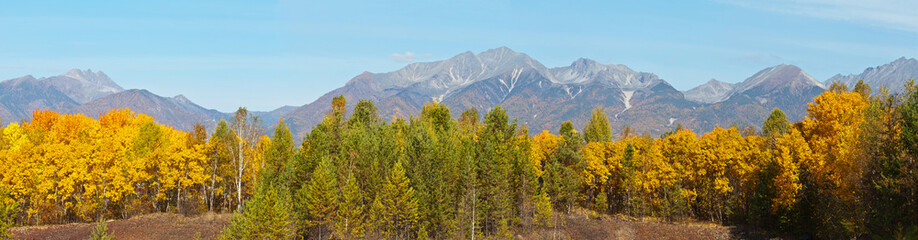 Panoramic view on a beautiful autumn forest of coniferous and deciduous trees on the background of mountains range on a sunny September day. Autumn traveling at a highland