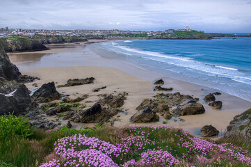 Surfer in Newquay, Cornwall