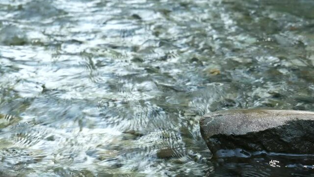 Water stream flowing between rocks into the forest. Water spring in Bucegi National Park.