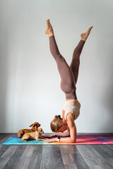 Girl in a pose on the elbows doing yoga