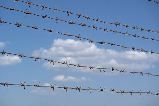 barbed wire on a clear sky background