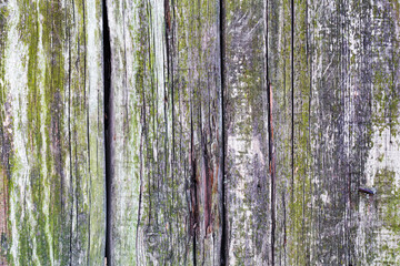 Obraz premium Old wood planks, perfect background for your concept or project.