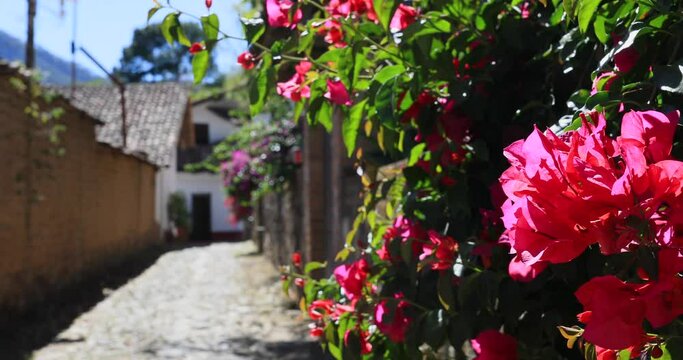 San Sebastian del Oeste Mexico flowers cobblestone road. San Sebasti&aacute;n del Oeste a town and municipality in Jalisco state, Mexico. Mining town in 1605, gold , silver and lead. Historical tourism.