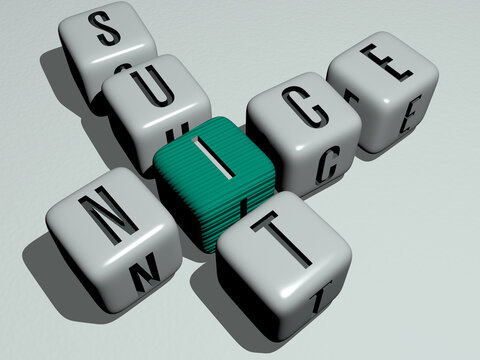combination of NICE SUIT built by cubic letters from the top perspective, excellent for the concept presentation. background and beautiful