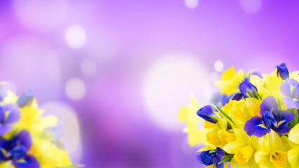 Fototapeta na wymiar bouquet of daffodil and iris flowers