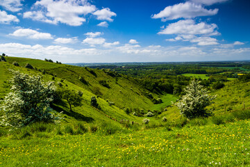 Fototapeta na wymiar A walk around the north downs in Kent in May from the village of Wye with views of the devils kneeding trough