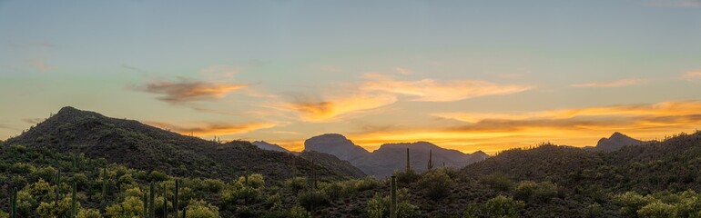 The warm glow of a setting sun the in Sonoran Desert of Arizona with saguaro cacti in the foreground and mountains in the distance.