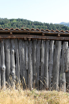background of old log bong