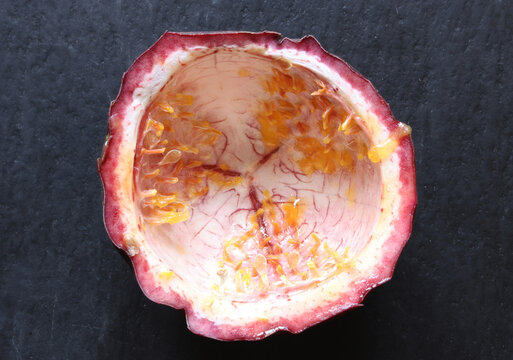 Photography of an empty passion fruit shell on slate background for food illustrations