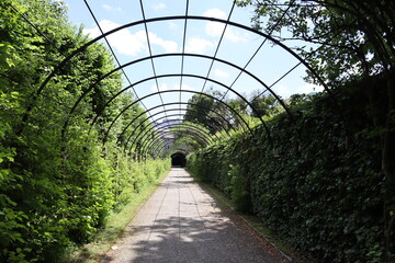 magic garden in beautiful salzburg