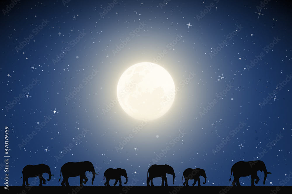 Sticker elephant family walking in desert on moonlight night. landscape with big animals silhouettes in sava