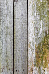 Fototapeta premium Background gloomy charred wooden fence in dark colors