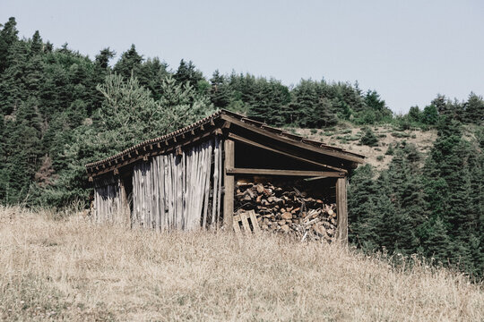 background of old log bong