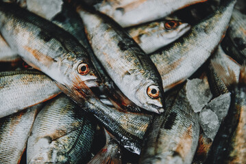 Various fresh sea fishes on ice at market stall. Top view.