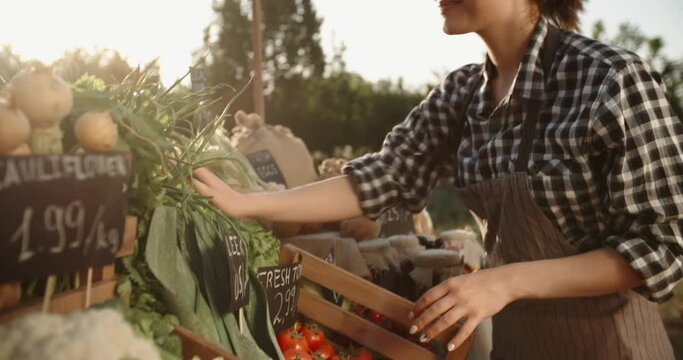 Young caucasian female farmer selling fresh local organic vegetables and fruits at stall of farmers market. Agriculture worker checking her groceries before offering them 4k footage