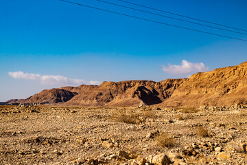 landscape of the desert