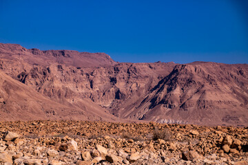 desert landscape in the desert