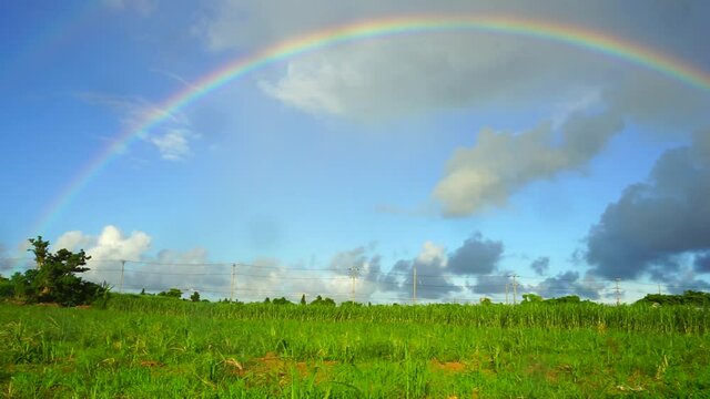 8月、宮古島のサトウキビ畑と虹。沖縄県、日本。
