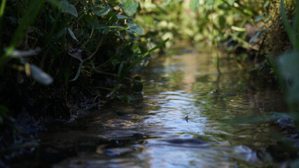 water flowing into the river