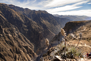 Panoramic view of Colca Canyon, in Peru.