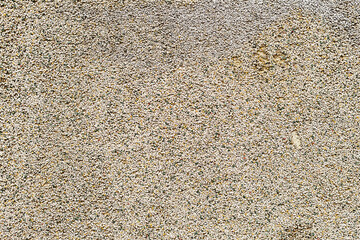 Abstract concrete, weathered with cracks and scratches. Grungy Concrete Surface. Great background or texture.