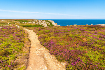 Pointe du Van
