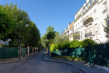 Fototapeta na wymiar City of flowers in Paris city