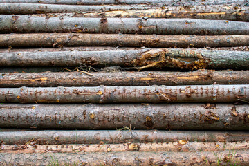 Big monumental pile / stack of wood logs. Log bark pattern / wallpaper / background / texture