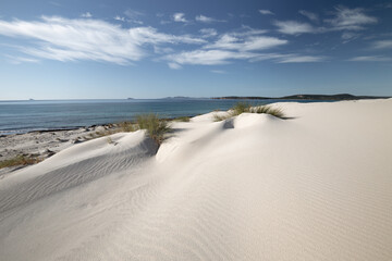 sand dunes in Sardinia on the sea