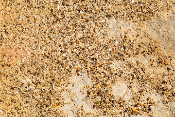 Abstract concrete, weathered with cracks and scratches. Grungy Concrete Surface. Great background or texture.