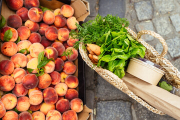 Straw bag or basket with healthy fresh organic vegetables. Harvest concept.