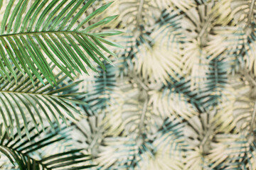 Naklejka na ściany i meble Green palm tree leaves with jungle background