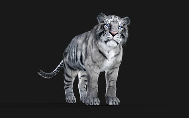 Obraz premium White Bengal tiger Isolated on Dark Background with Clipping Path. 3d Illustration.