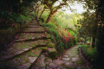 Nice and romantic footpath with flower covered stone stairs in the middle of a green dremy forest in spring - 370193111
