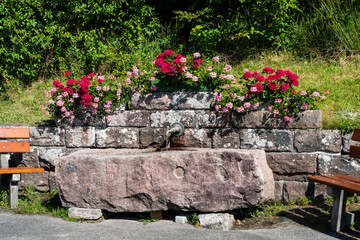 Brunnen mit Blumenschmuck in Sprollenhaus