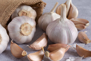 Close up,Garlic on gray background.