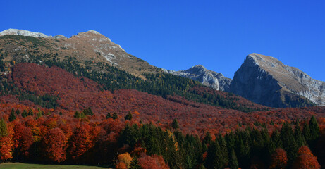 autumn landscape in the mountains