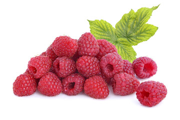 Pile of raspberries with twig isolated on white