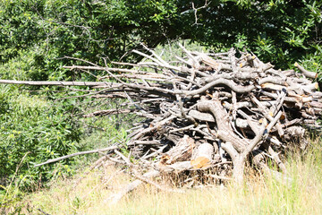 Rural Landscape in the early Morning in the Ardeche, France