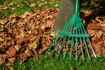 A metal green fan rake stands by a wooden post, and autumn leaves are scattered around on a lawn...