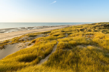 Les dunes entre Fort-Mahon et la baie d'Authie au soleil couchant