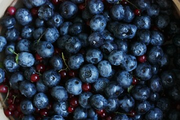 Fresh blueberries and red currants on the table